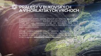 Pralesy v Bukovských a Vihorlatských vrchoch